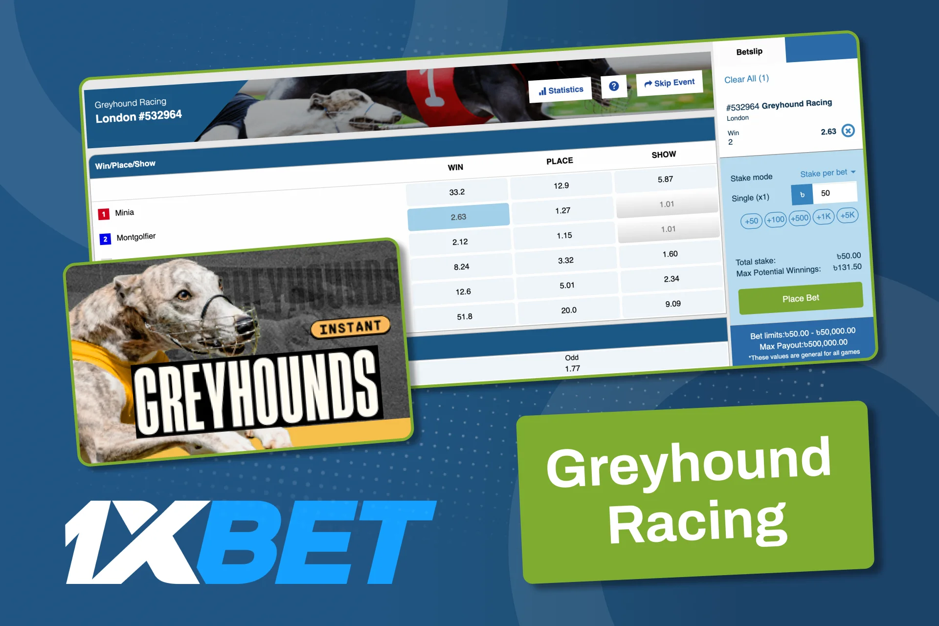 Bet on fast virtual greyhound racing at 1xBet and get results in minutes.
